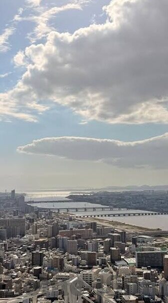 人妻av一区二区-人妻角色的多维度探讨，一区与二区的情感交织